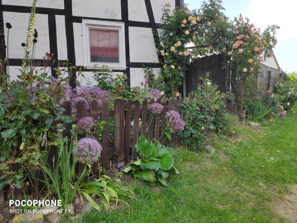Annabell Apartment Soest Exterior photo